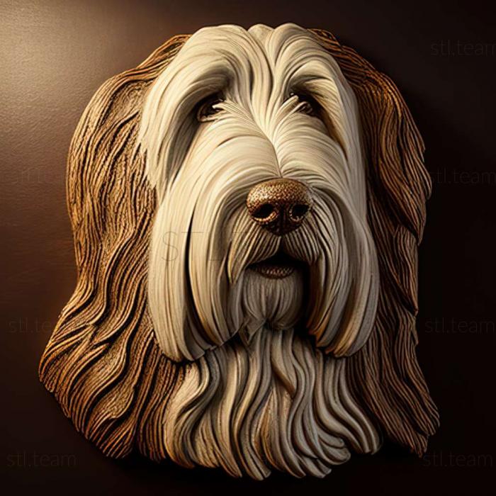 3D model Bearded Collie dog (STL)